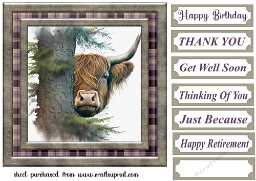 Hiding Highland cow card front 8