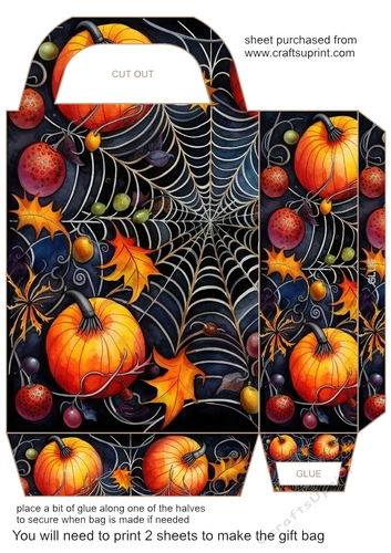 Bright spiders web gift bag 2