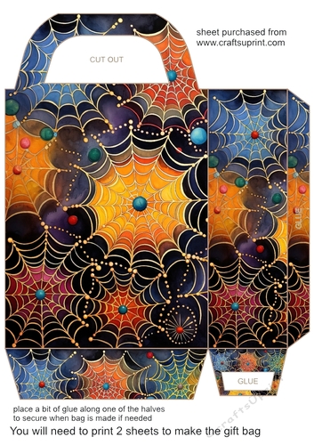 Bright spiders web gift bag 4