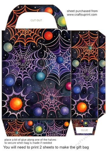 Bright spiders web gift bag 5
