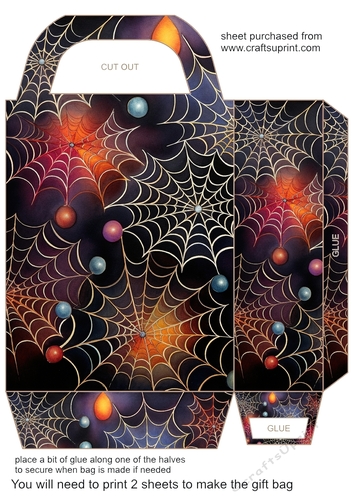 Bright spiders web gift bag 10