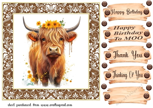 Brown framed Highland cow card front 8