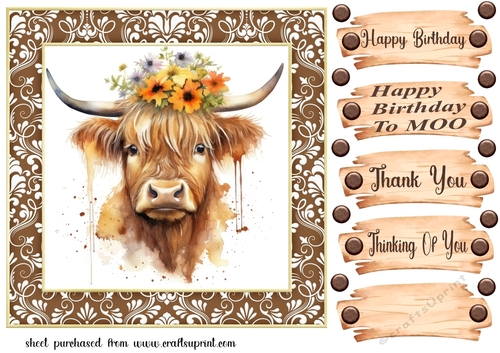 Brown framed Highland cow card front 10