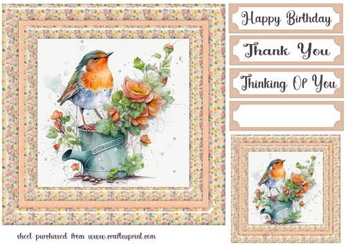 Framed floral robin card front 3