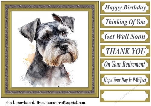 Miniature Schnauzer card front 4