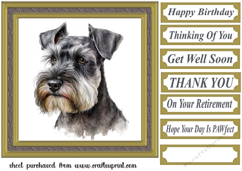 Miniature Schnauzer card front 6