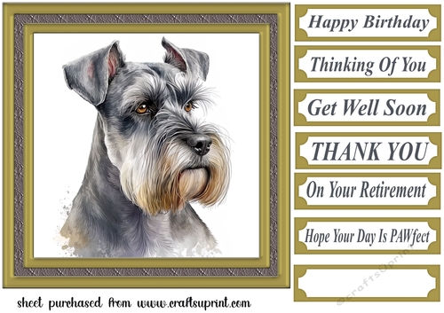 Miniature Schnauzer card front 7