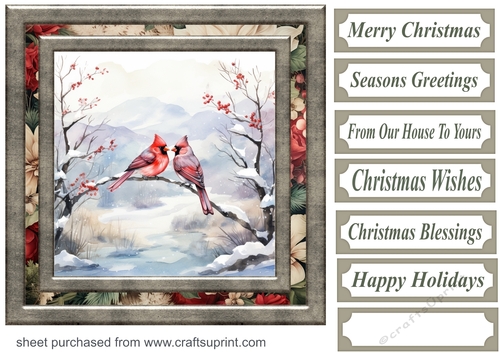 Winter cardinal card front 1