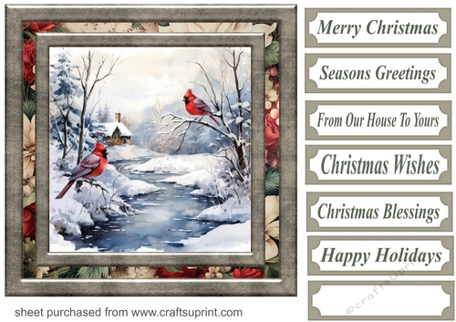 Winter cardinal card front 2