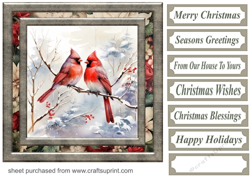 Winter cardinal card front 4