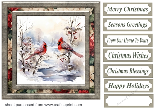 Winter cardinal card front 5
