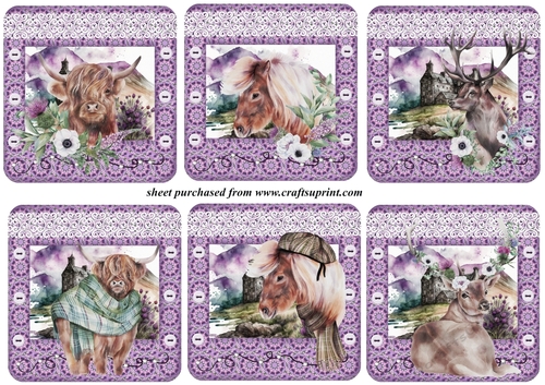 6 Purple Highland animal toppers