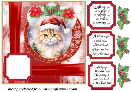 Christmas kitty card front N1