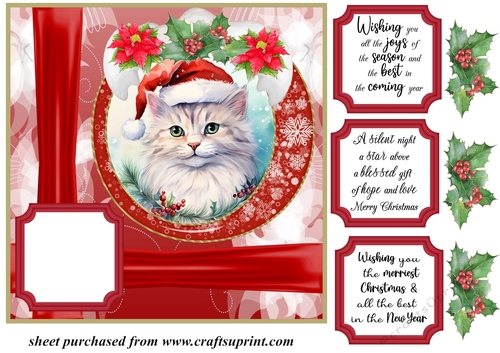 Christmas kitty card front N4