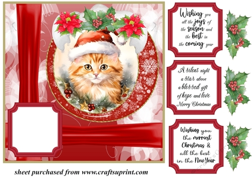 Christmas kitty card front N5