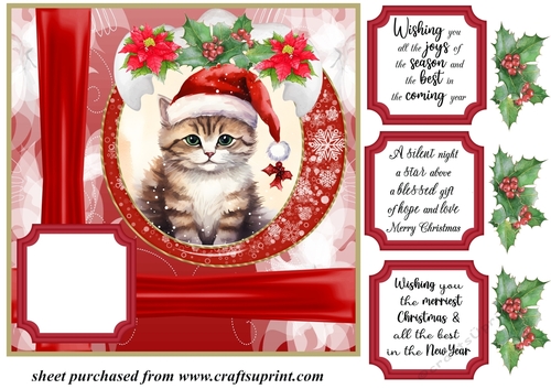 Christmas kitty card front N6