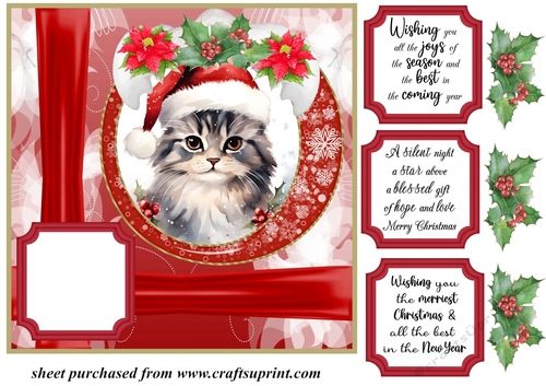 Christmas kitty card front N7