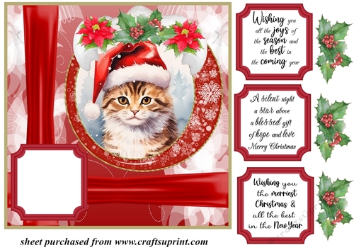 Christmas kitty card front N8