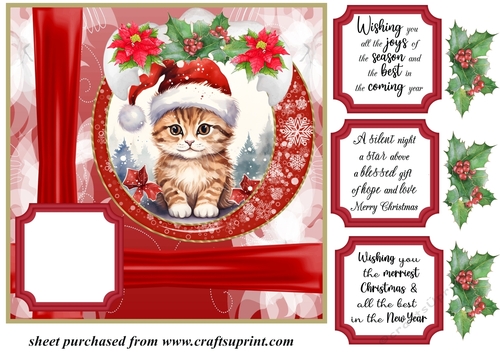 Christmas kitty card front N10