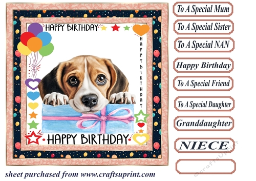 Pup Happy Birthday card front 3