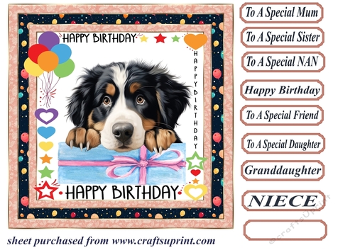 Pup Happy Birthday card front 4