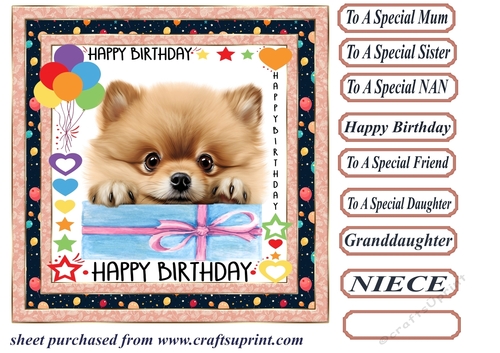 Pup Happy Birthday card front 5