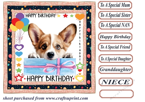 Pup Happy Birthday card front 6