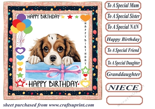 Pup Happy Birthday card front 7