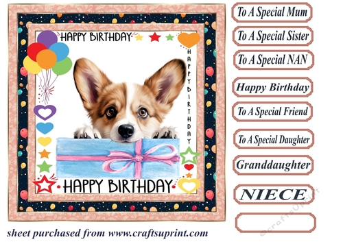 Pup Happy Birthday card front 10