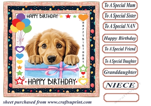Pup Happy Birthday card front 11