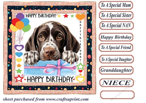 Pup Happy Birthday card front 13