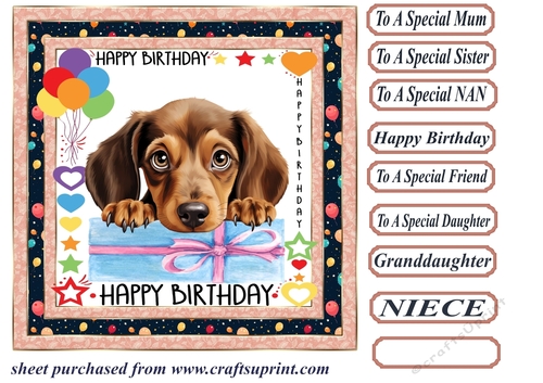 Pup Happy Birthday card front 17