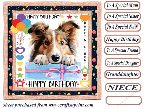 Pup Happy Birthday card front 21