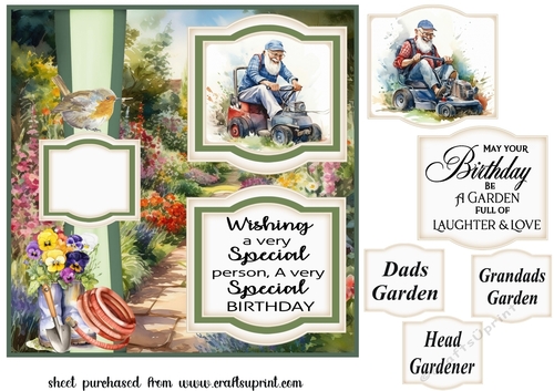 2 Panel mowing the lawn card front 4