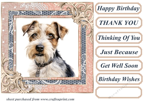 Wire haired Fox terrier card front 7