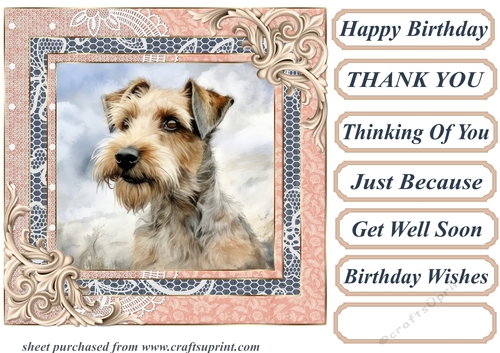 Wire haired Fox terrier card front 17