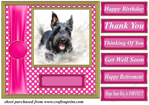 Its all about the splash Scottish terrier card front 2