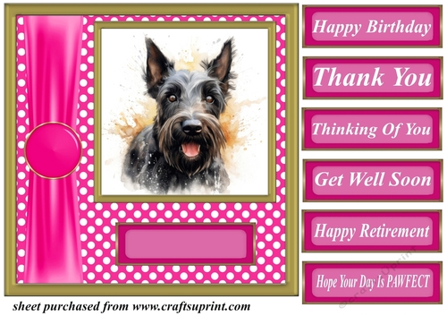 Its all about the splash Scottish terrier card front 3