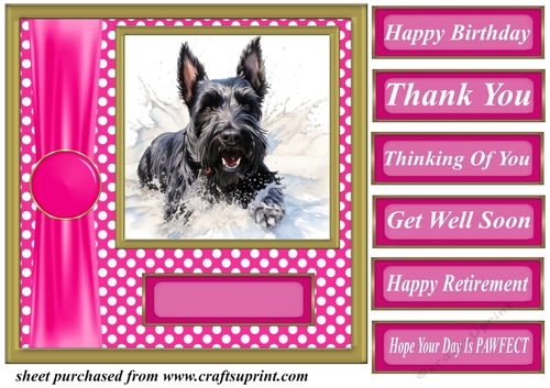 Its all about the splash Scottish terrier card front 4