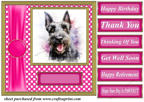 Its all about the splash Scottish terrier card front 5