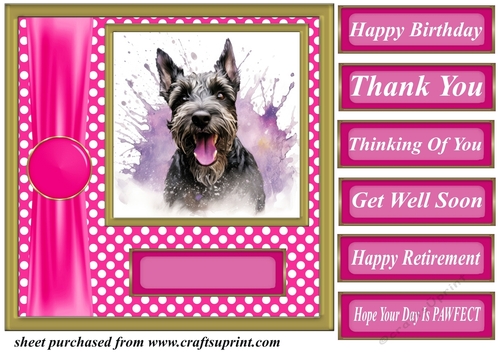 Its all about the splash Scottish terrier card front 6