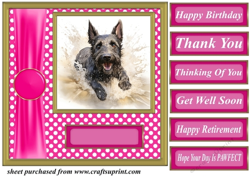 Its all about the splash Scottish terrier card front 7