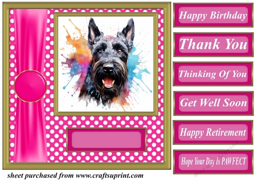 Its all about the splash Scottish terrier card front 8