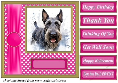 Its all about the splash Scottish terrier card front 9