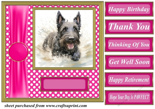 Its all about the splash Scottish terrier card front 11