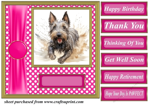 Its all about the splash Scottish terrier card front 12