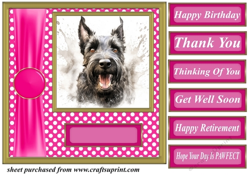 Its all about the splash Scottish terrier card front 13