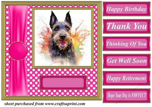 Its all about the splash Scottish terrier card front 14