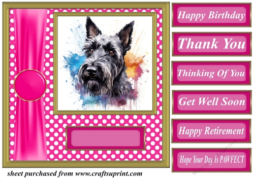 Its all about the splash Scottish terrier card front 15