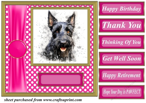 Its all about the splash Scottish terrier card front 16